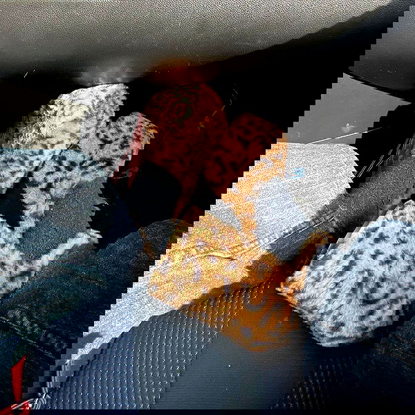 babynympho_archive babynympho_archive archive image