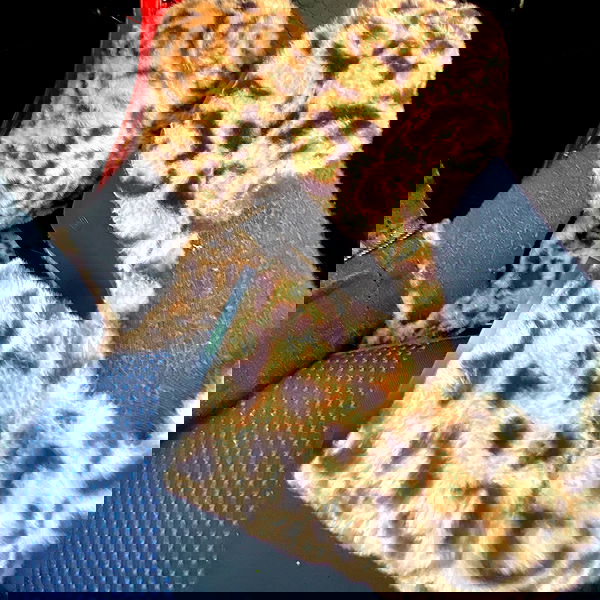 babynympho_archive babynympho_archive archive image