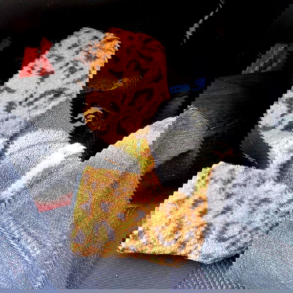 babynympho_archive babynympho_archive archive image