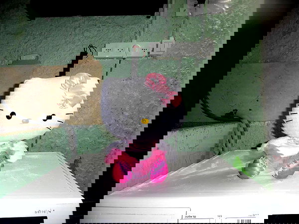 babynympho_archive babynympho_archive archive image