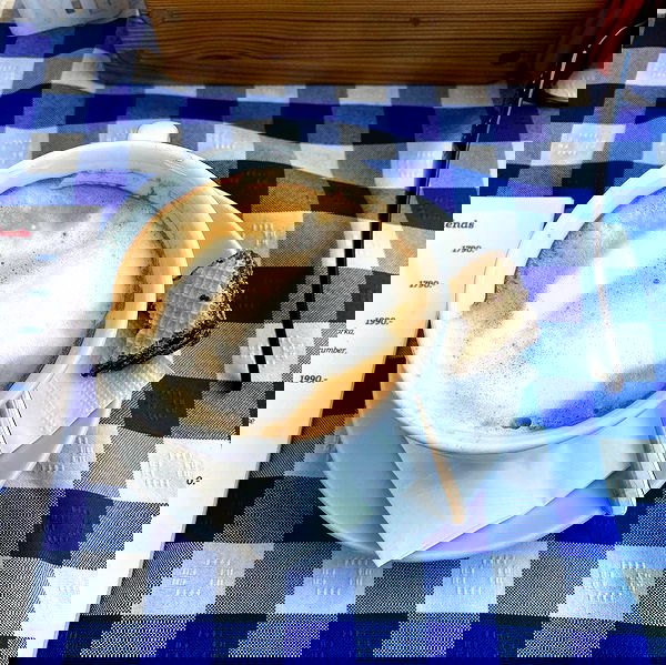 babynympho_archive babynympho_archive archive image