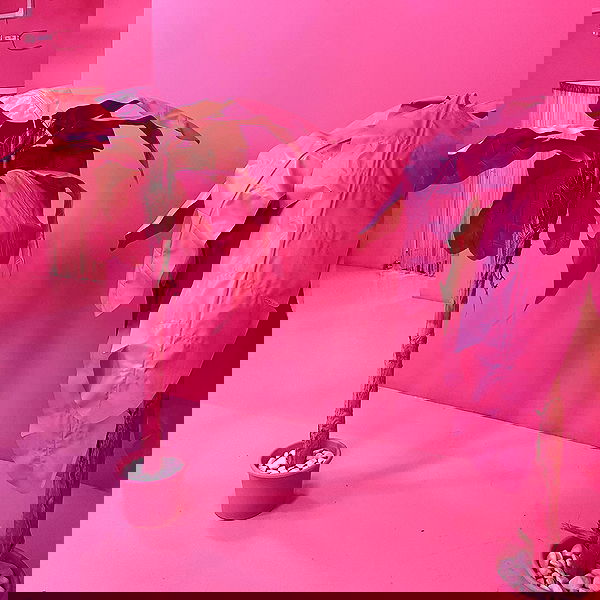 babynympho_archive babynympho_archive archive image