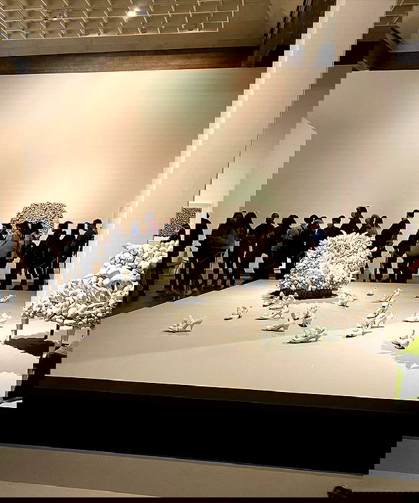 babynympho_archive babynympho_archive archive image