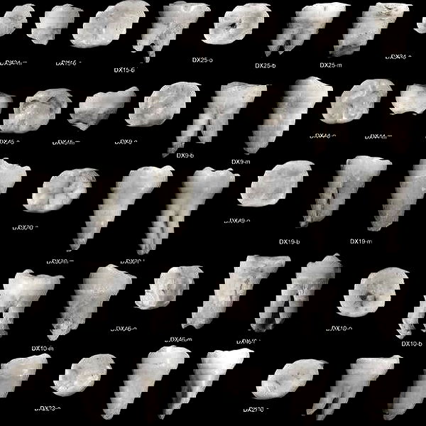 babynympho_archive babynympho_archive archive image