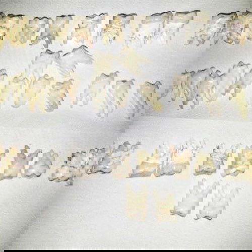 babynympho_archive babynympho_archive archive image