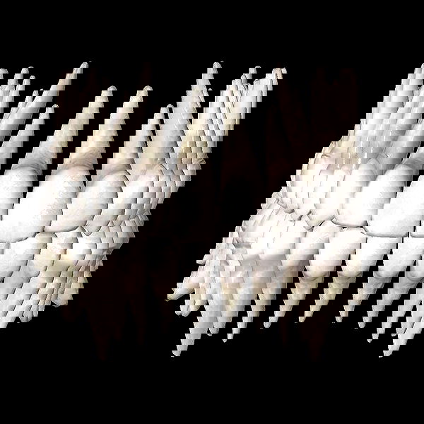 babynympho_archive babynympho_archive archive image