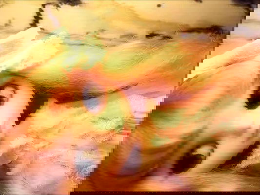 babynympho_archive babynympho_archive archive image