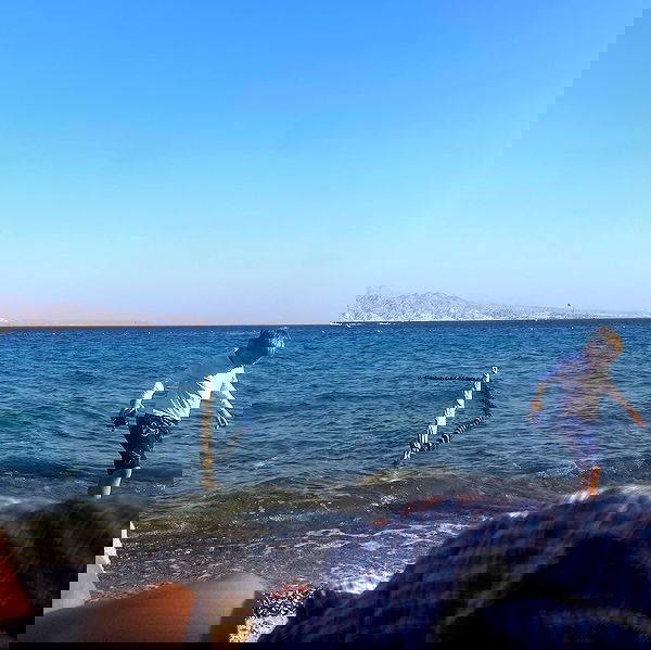 babynympho_archive babynympho_archive archive image