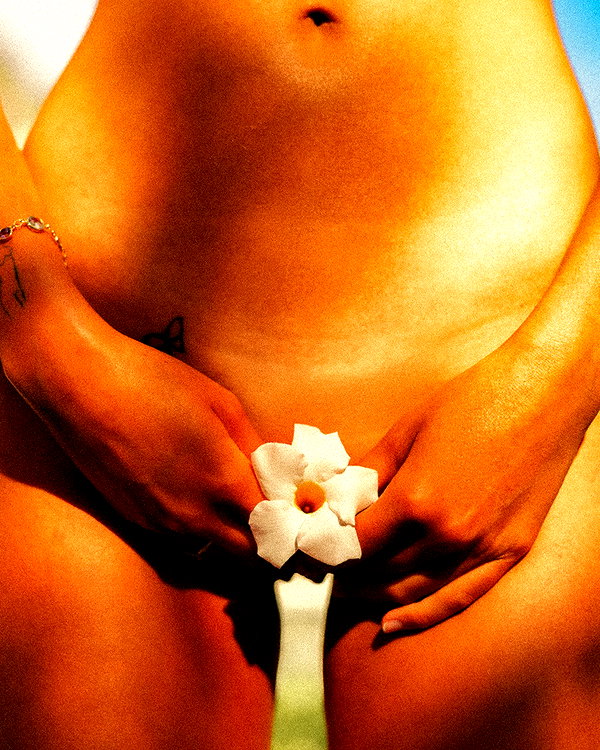 badboi badboi archive image