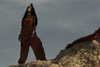 badgalriri Altpins Profile Picture