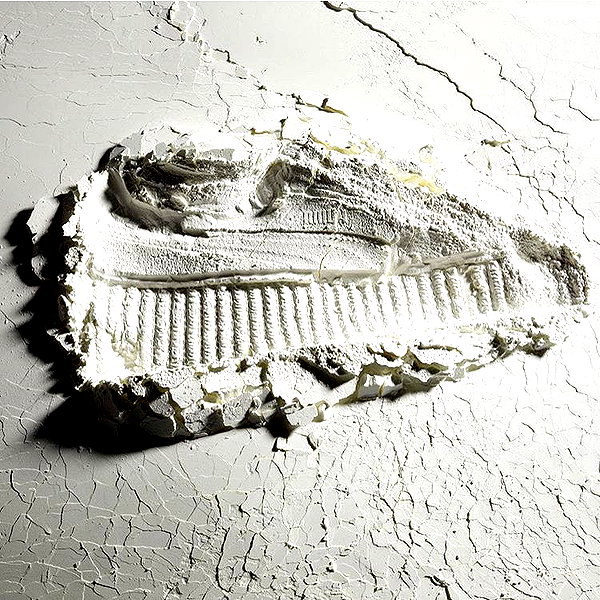 badgalriri instagram image archive image