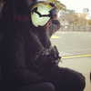 badgalriri Altpins Profile Picture