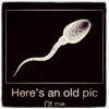 badgalriri Altpins Profile Picture