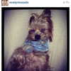 badgalriri Altpins Profile Picture