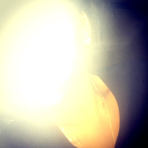 badgalriri instagram image archive image