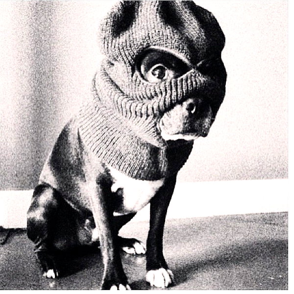 badgalriri instagram image archive image