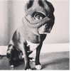 badgalriri Altpins Profile Picture