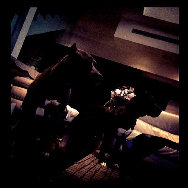 badgalriri instagram image archive image