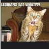 badgalriri Altpins Profile Picture