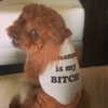 badgalriri Altpins Profile Picture