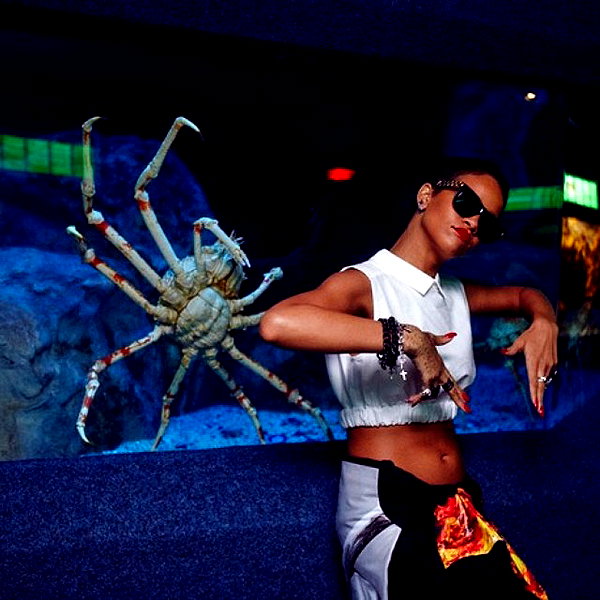badgalriri instagram image archive image