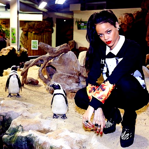 badgalriri instagram image archive image