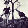 badgalriri Altpins Profile Picture