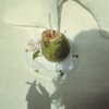 badgalriri Altpins Profile Picture