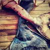 badgalriri Altpins Profile Picture