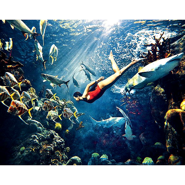 badgalriri instagram image archive image