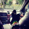 badgalriri Altpins Profile Picture