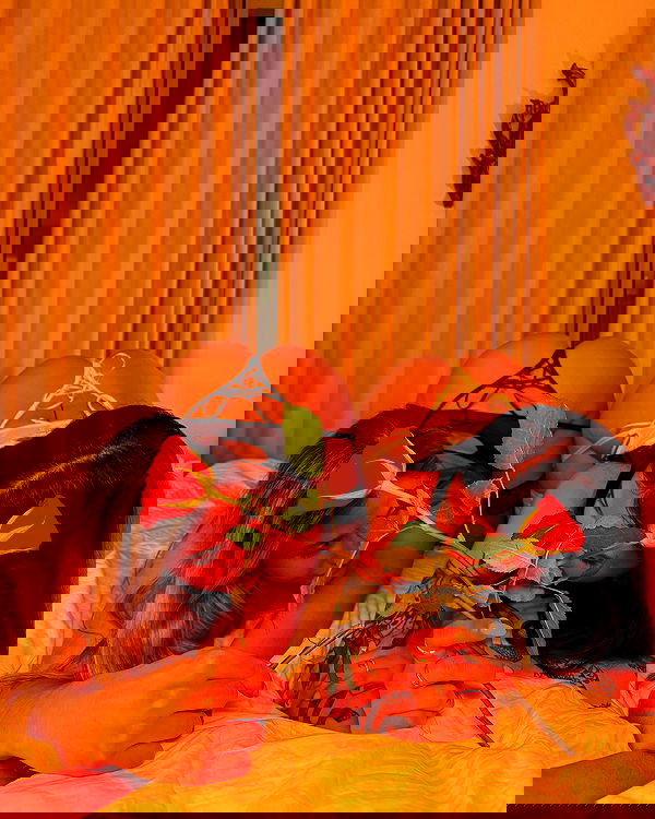 bakedsloths bakedsloths archive image