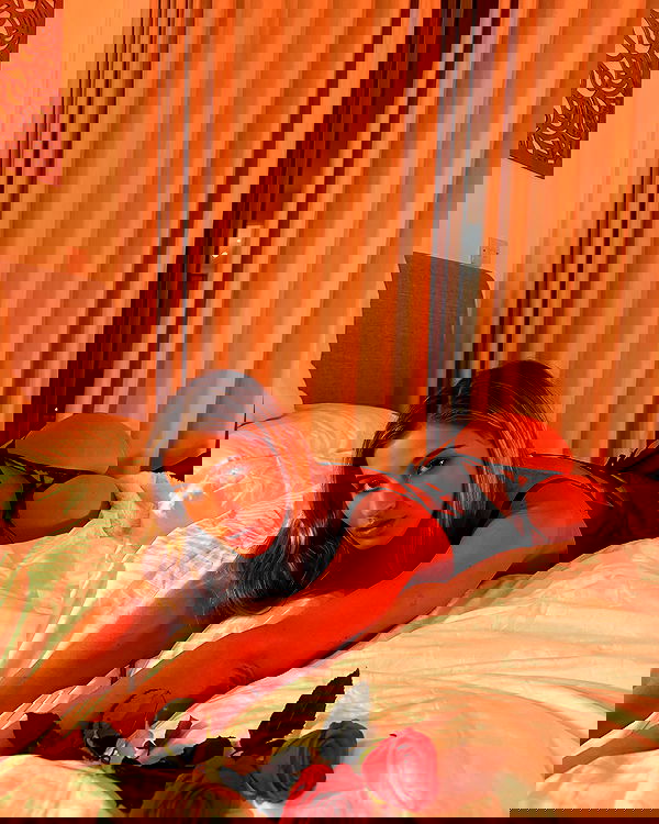 bakedsloths bakedsloths archive image