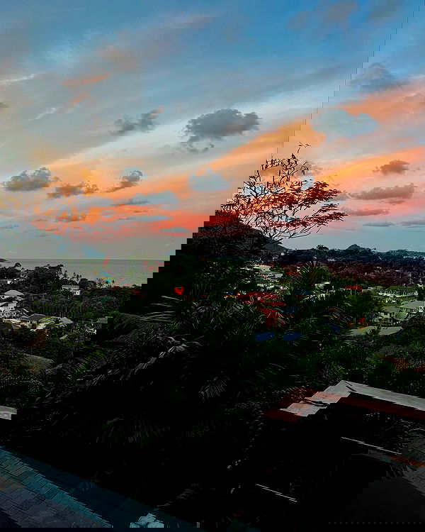 bakedsloths bakedsloths archive image