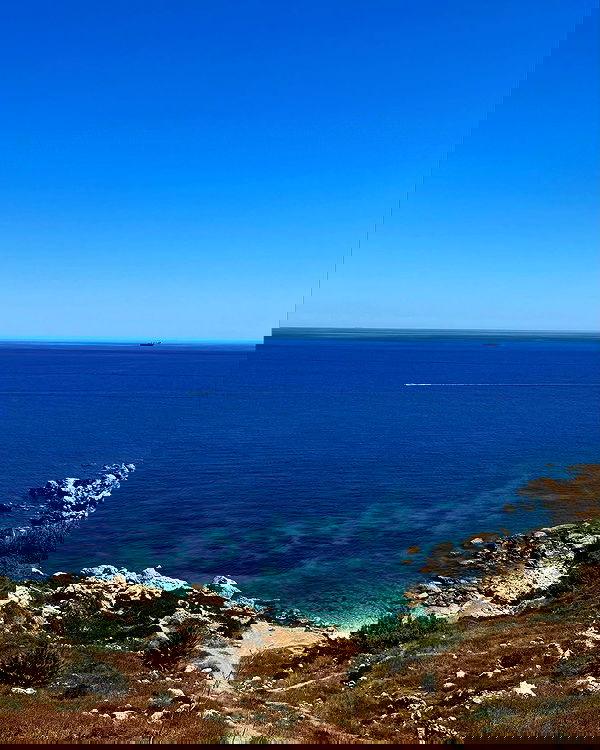 bakedsloths bakedsloths archive image