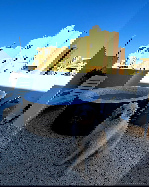 bakedsloths bakedsloths archive image