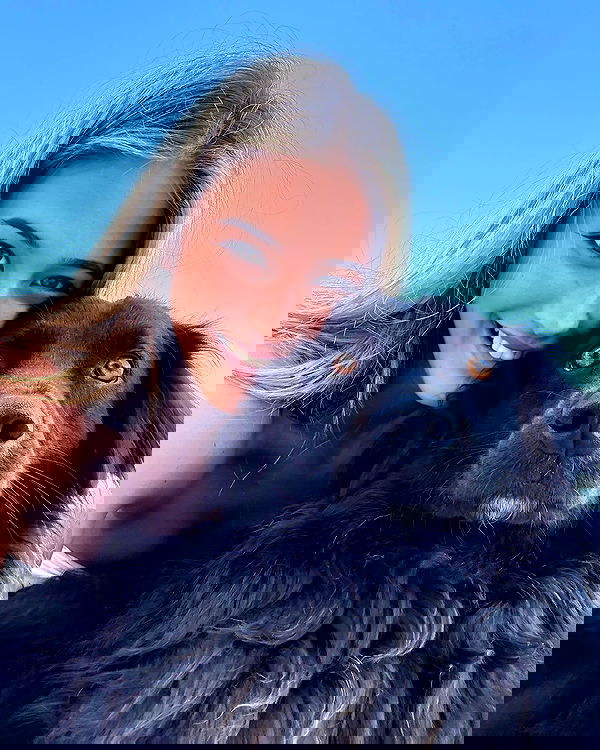 bakedsloths bakedsloths archive image