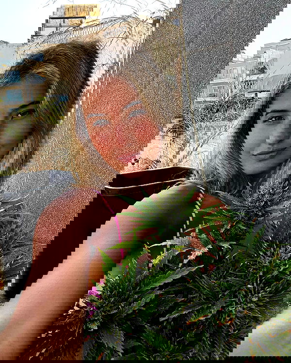 bakedsloths bakedsloths archive image