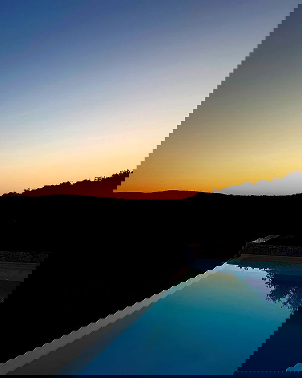 bakedsloths bakedsloths archive image