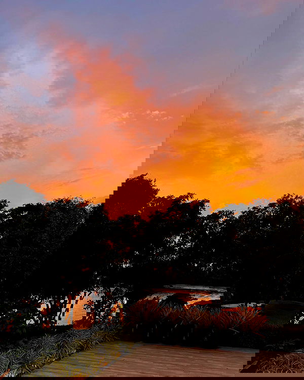 bakedsloths bakedsloths archive image