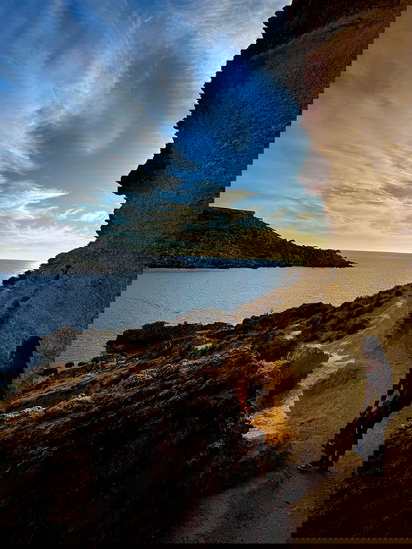 bakedsloths bakedsloths archive image