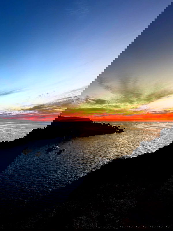 bakedsloths bakedsloths archive image