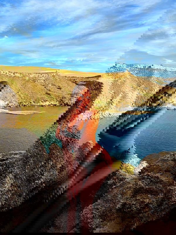 bakedsloths bakedsloths archive image