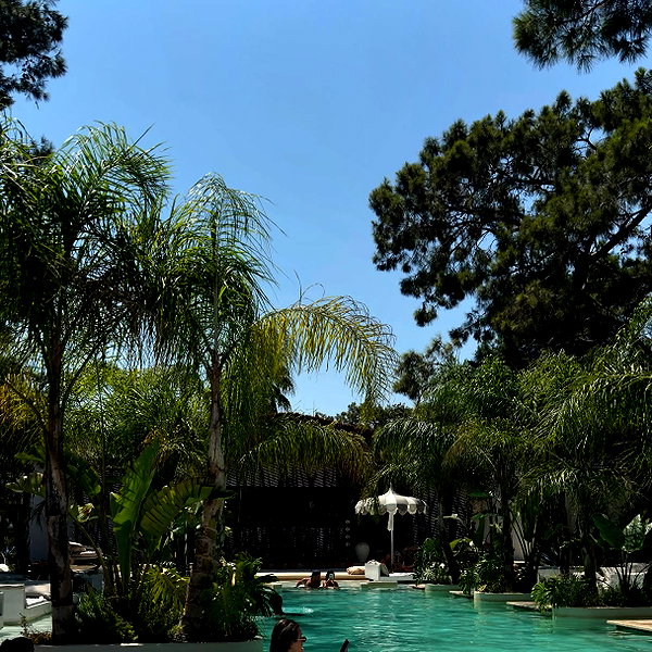 barbaepapa instagram image archive image