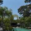 barbaepapa Altpins Profile Picture