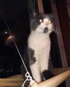 bbanshi Altpins Profile Picture