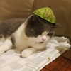 bbanshi Altpins Profile Picture