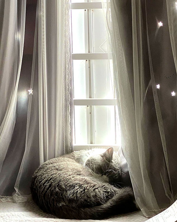 bbanshi instagram image archive image
