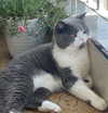 bbanshi Altpins Profile Picture