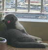 bbanshi Altpins Profile Picture